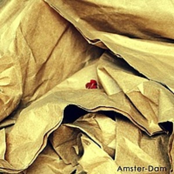  Amster-Dam - Сингл (2011)