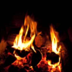 Садовник Song