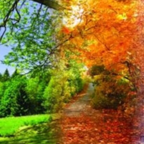 Вивальди. Времена года. Моцарт. Маленькая ночная серенада. Паганини. Кампанелла