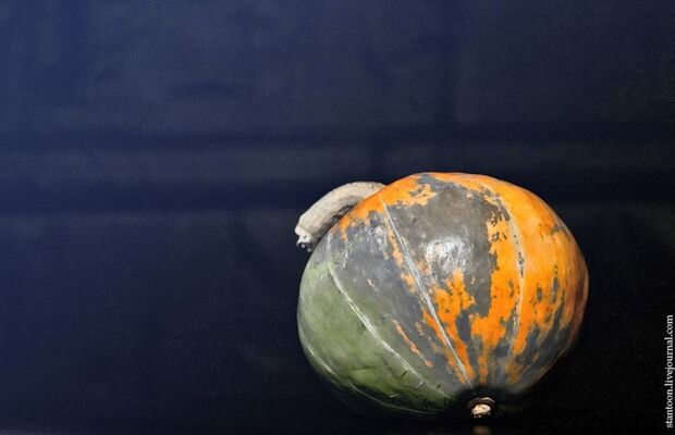 Презентация альбома "Шаг из вчерашнего дня"