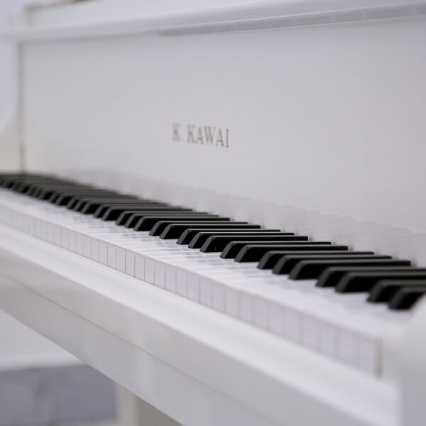 Звучание эпох. Классицизм и модерн. Альт, виолончель и рояль