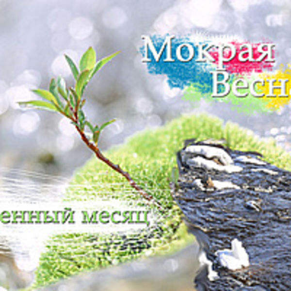Мокрая весна