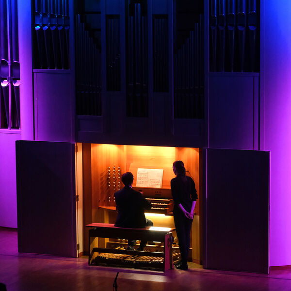 В мире животных