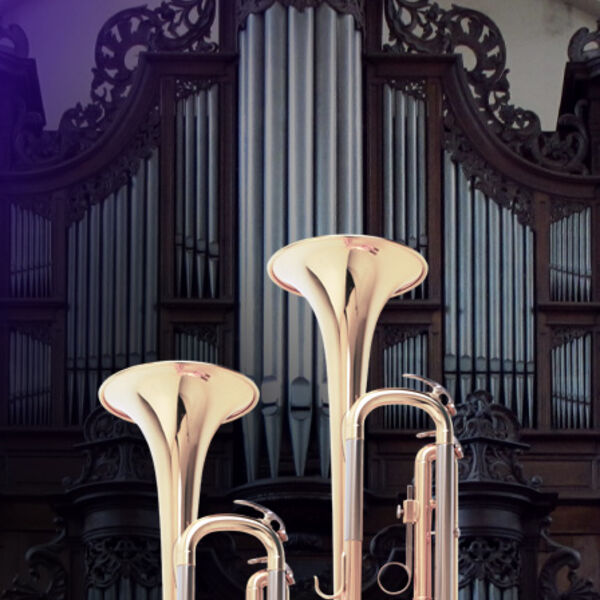 Блестящее барокко: орган и две трубы