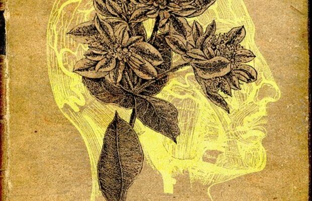 Обложки пластинок