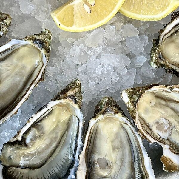 Вечер устриц