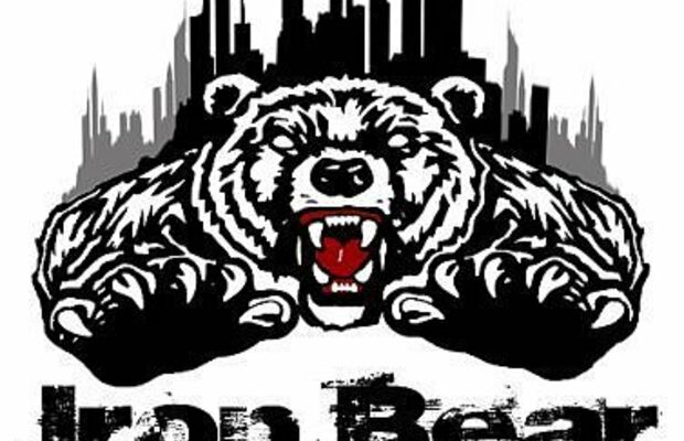 Iron Bear Cubs