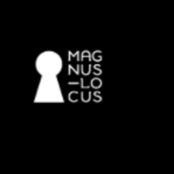 Magnus locus схема зала