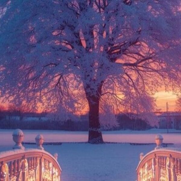 А. Вивальди, А. Пьяццолла. Времена года. Оркестр, орган, скрипка