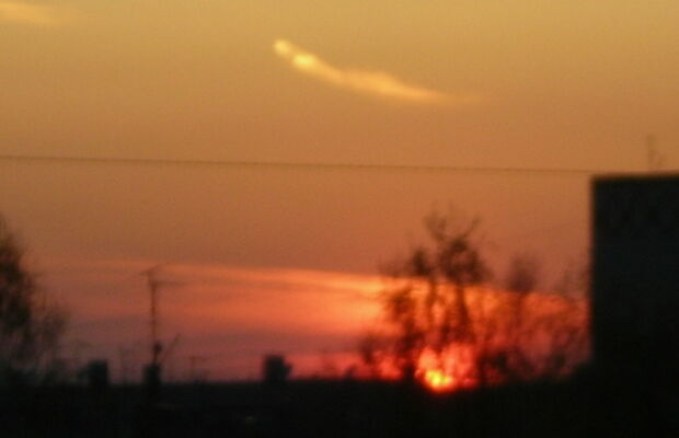 ГАЛЛЮЦИНОГЕН фото