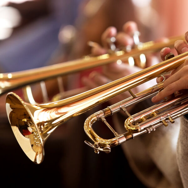 Абонемент № 3 Д. Медные духовые