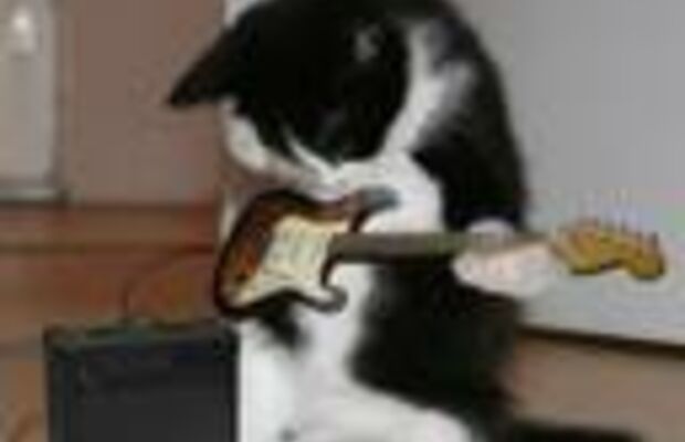 картинки к песням