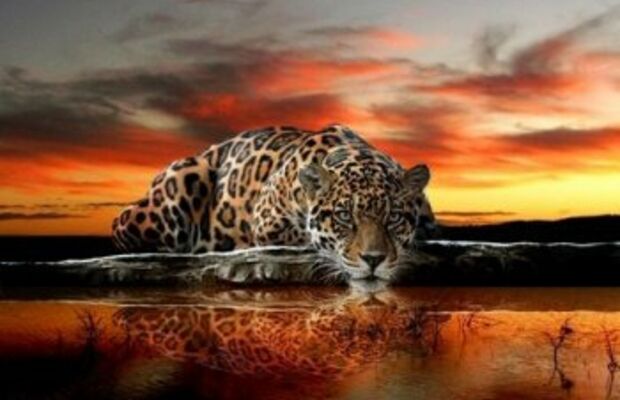 обложки альбомов