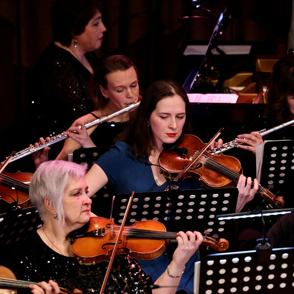 В мире животных