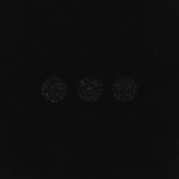 12 шагов к тебе