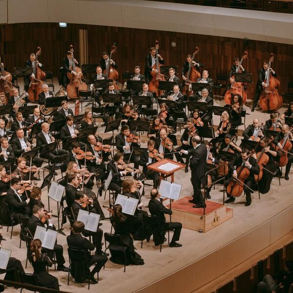 МГАСО, Тимур Зангиев