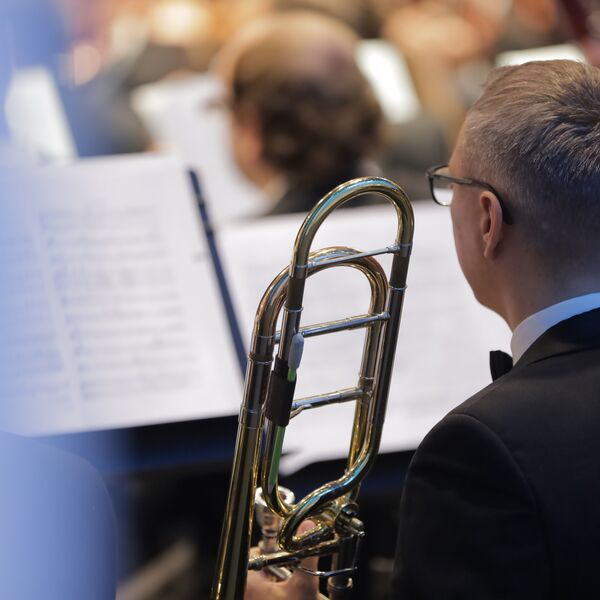 РАСО. Малыш и Карлсон