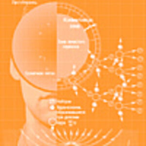 Осколки Солнца