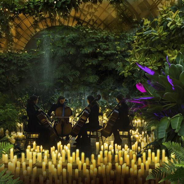 Магия свечей. Рок-хиты на виолончелях в Оранжерее