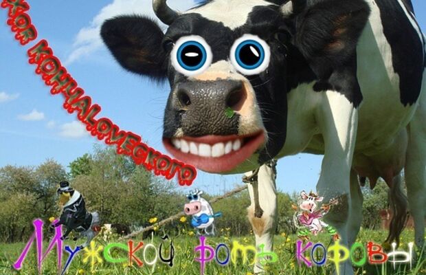 Обложки альбомов