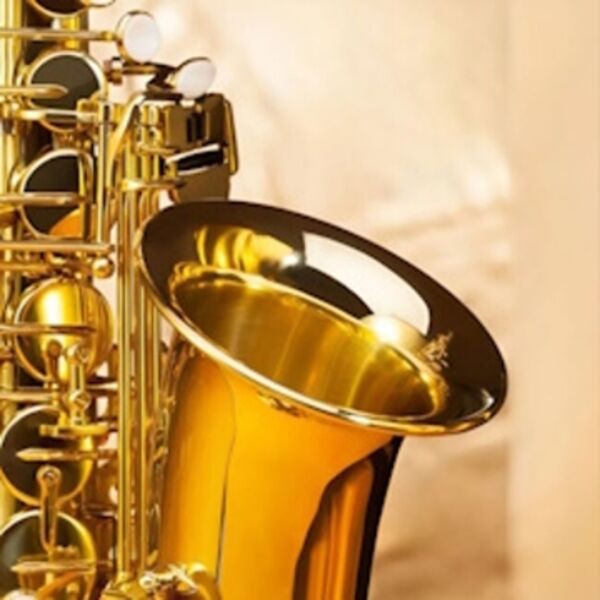 Концерт-лекция «100 лет тенор-саксофону в джазе от Юрия Бедрака»