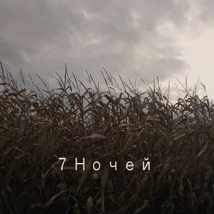 7 Ночей