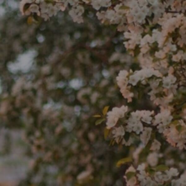 Славный май