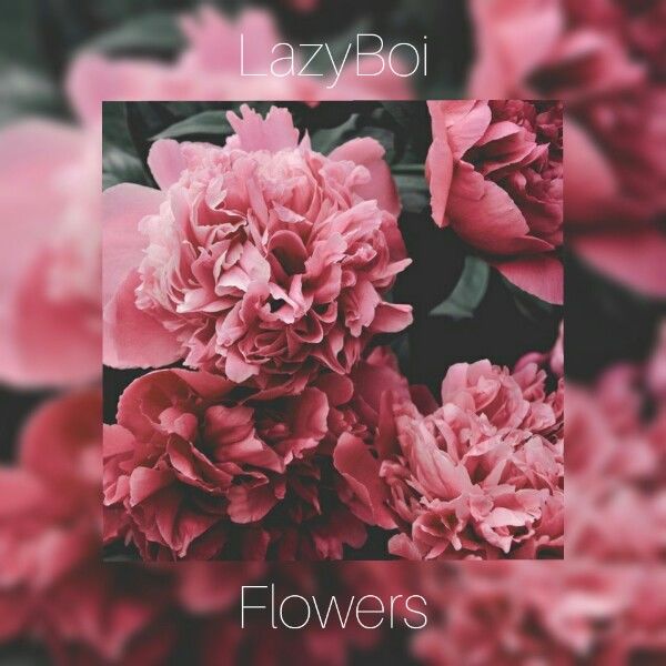 lazyboy - Flowers
