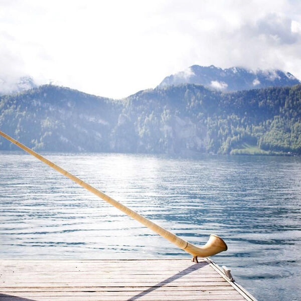 Рог изобилия