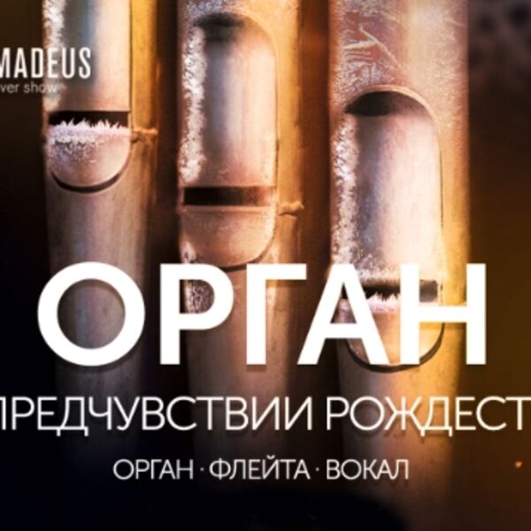 Орган. В предчувствии Рождества