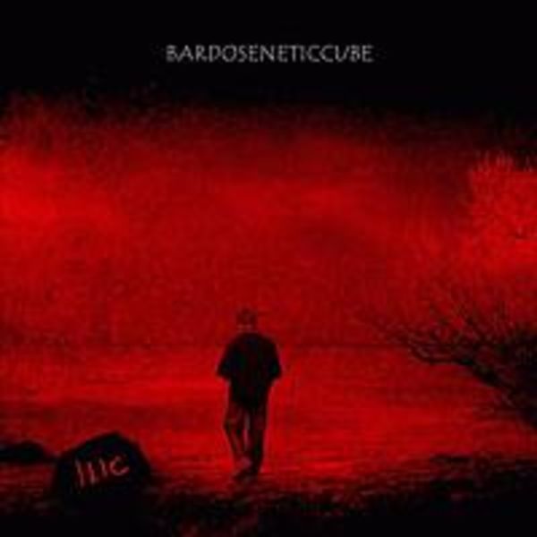 SD013 Bardoseneticcube - ILIC