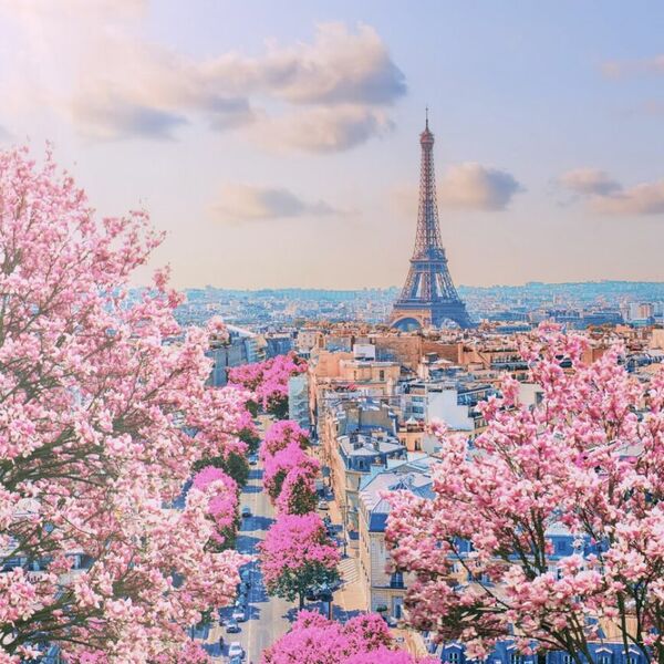 Органный ВЕСНА В ПАРИЖЕ! Саксофон, волынка и орган!